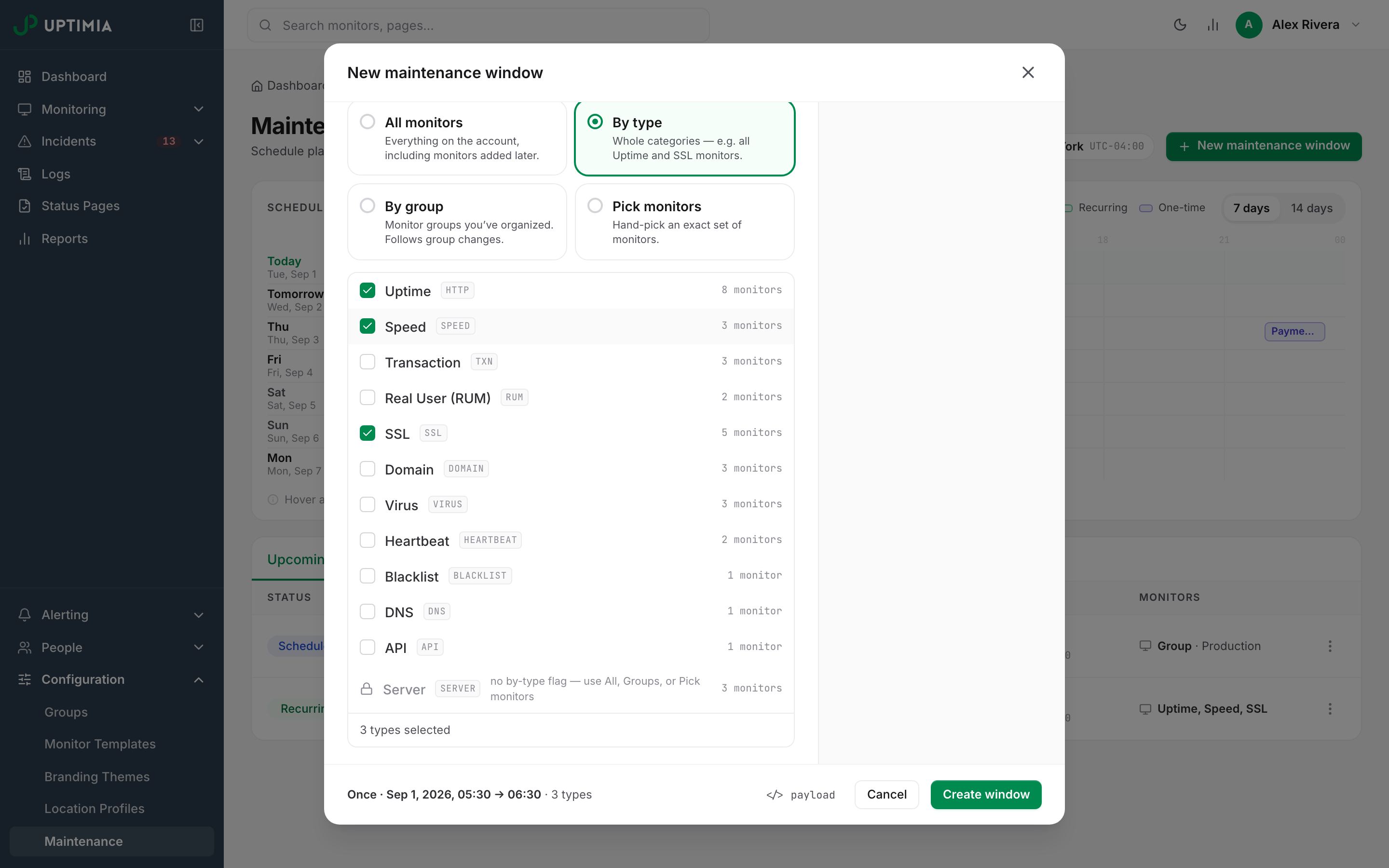 The By type scope in the maintenance modal, listing every monitor family with its count and showing Server greyed out because it has no by-type flag.