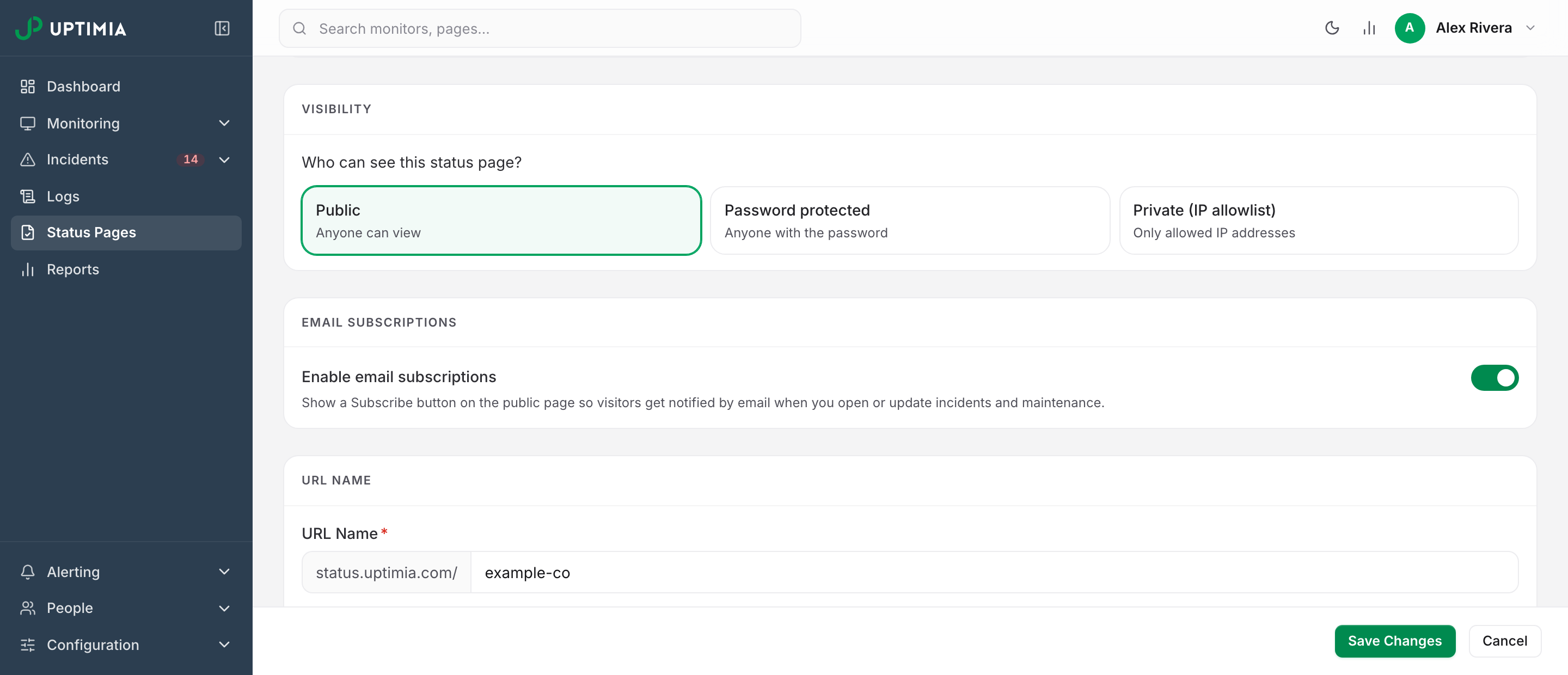 The Visibility card in the status page editor, with the Public, Password protected and Private (IP allowlist) options side by side and Public selected.