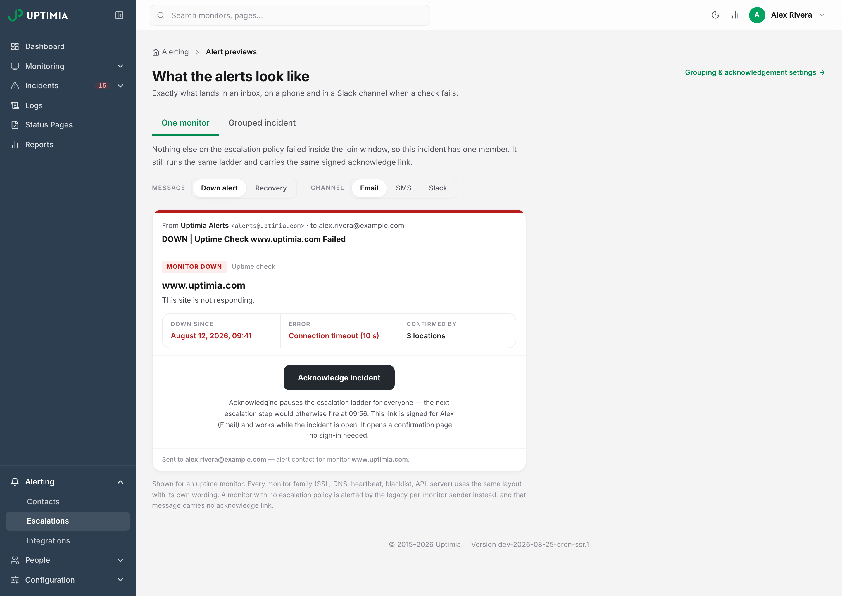 The Alert previews page showing a sample down-alert email, with the tabs and Message / Channel controls that switch between the 15 renderings.